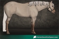 Horse Color:Silver Grullo