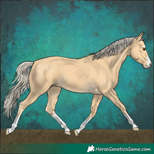 Horse Color:Palomino 