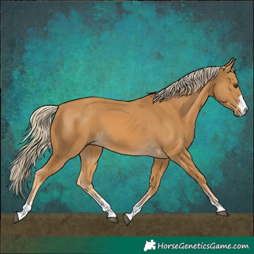 Horse Color:Palomino