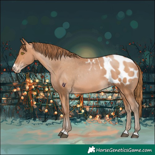 Horse Color:Bay Pearl Blanket 