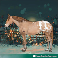 Horse Color:Bay Pearl Appaloosa