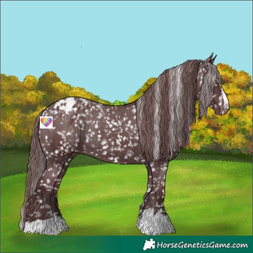 Horse Color:Chocolate Black Snowflake Varnish Rabicano