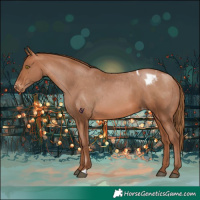 Horse Color:Brown Pearl Appaloosa