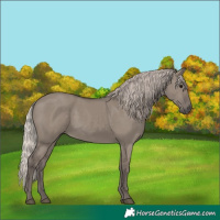 Horse Color:Silver Grullo 