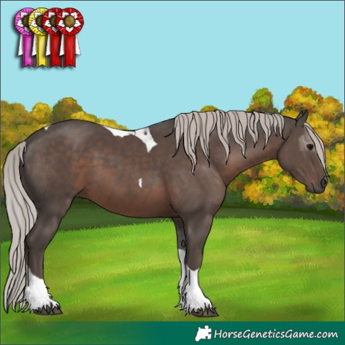 Horse Color:Silver Black Tobiano 