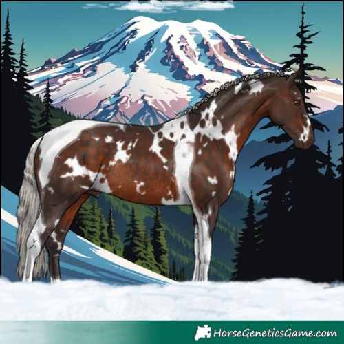 Horse Color:White Spotted Silver Brown Tobiano Rabicano 