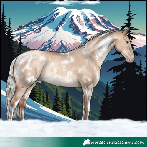 Horse Color:White Spotted Silver Sable Champagne Dun Rabicano 