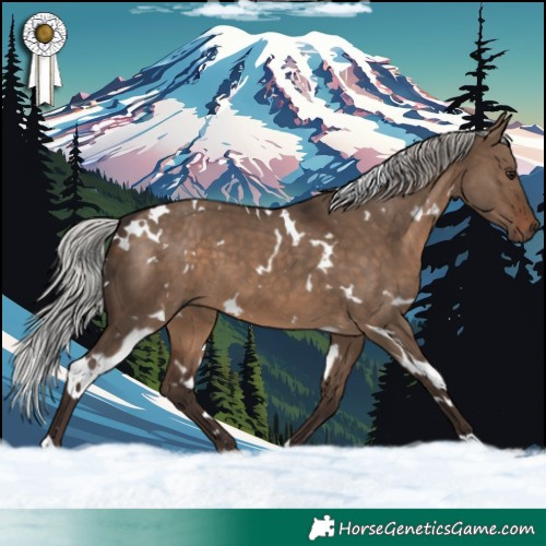 Horse Color:White Spotted Silver Brown Dun 