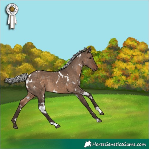 Horse Color:White Spotted Silver Brown Dun