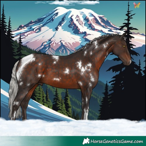 Horse Color:White Spotted Silver Brown Tobiano 