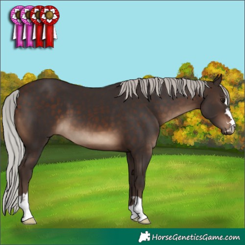 Horse Color:Silver Brown 