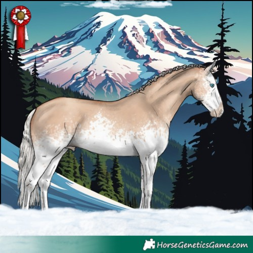 Horse Color:White Spotted Silver Classic Champagne Dun Splash 