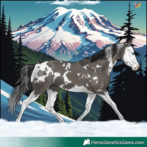 Horse Color:White Spotted Grullo Splash 