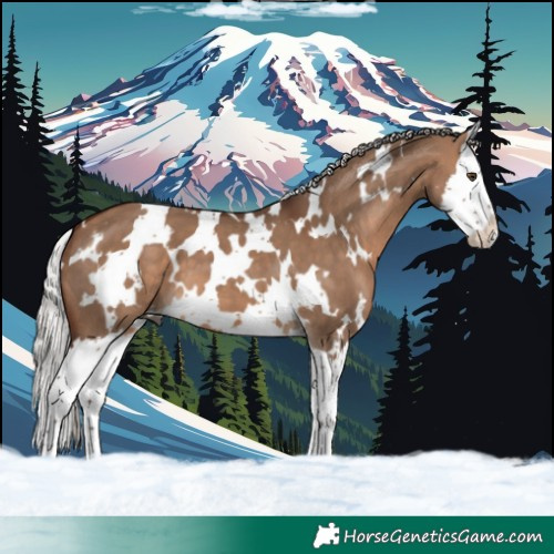 Horse Color:White Spotted Silver Brown Dun Splash 