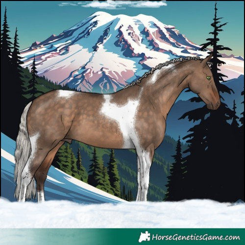 Horse Color:Silver Brown Dun Tobiano 