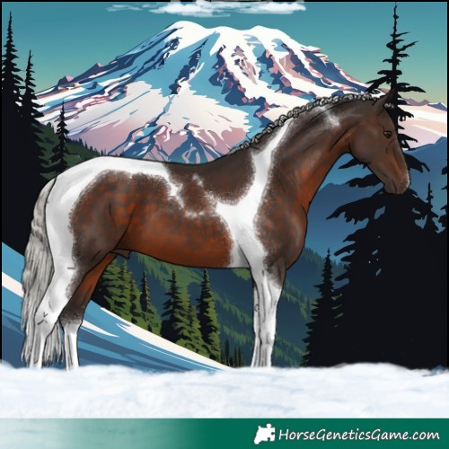 Horse Color:Silver Brown Tobiano 