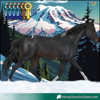 Horse Color:Brown Tobiano 