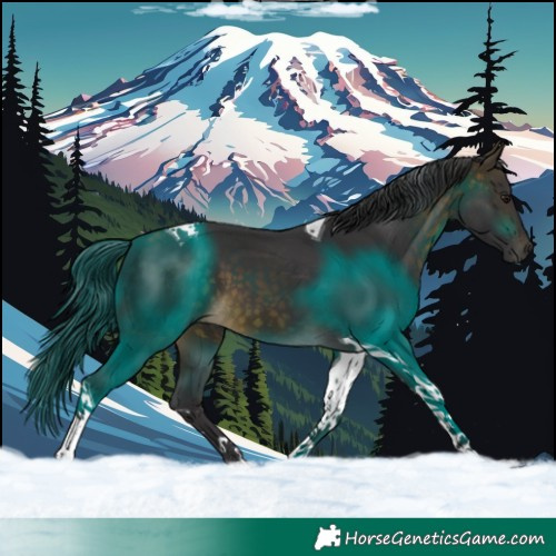 Horse Color:Buckskin Tobiano 