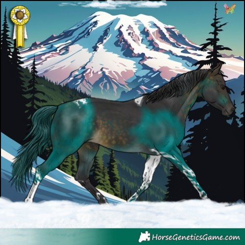 Horse Color:Buckskin Tobiano