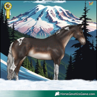 Horse Color:Silver Brown Tobiano