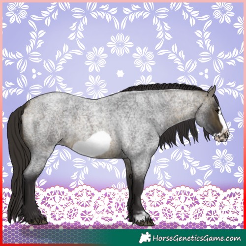 Horse Color:Buckskin Roan Sabino Frame 