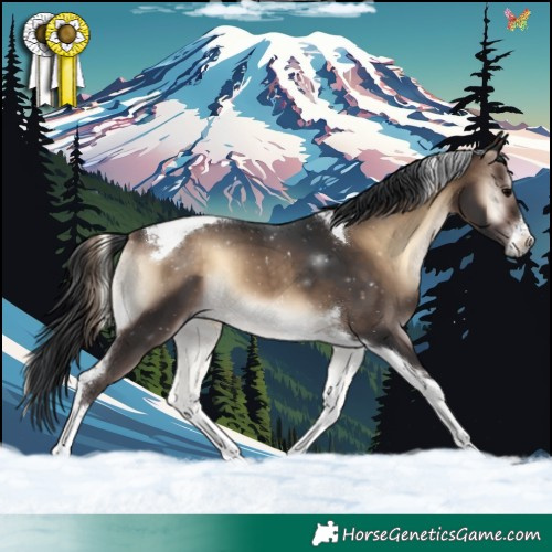 Horse Color:White Spotted Bay Onyx Tobiano