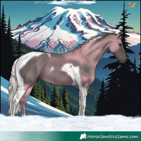 Horse Color:Silver Black Tobiano 
