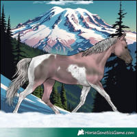 Horse Color:Silver Black Tobiano 
