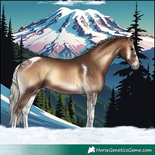 Horse Color:Silver Brown Onyx Tobiano 