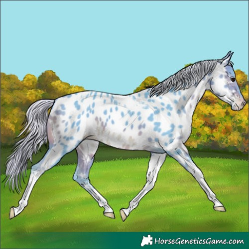 Horse Color:Watercolor Silver Brown Tobiano Appaloosa