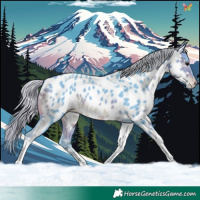 Horse Color:Watercolor Silver Brown Tobiano Appaloosa 