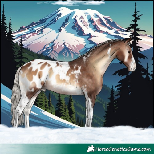 Horse Color:Silver Brown Onyx Tobiano Appaloosa 