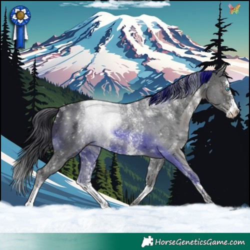 Horse Color:Powder White Black Sabino Splash 