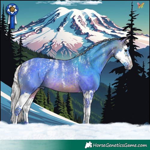 Horse Color:Powder White Watercolor Silver Brown Splash Rabicano 