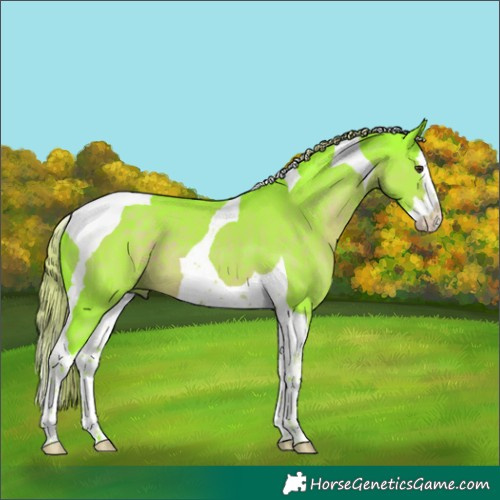 Horse Color:Watercolor Liver Chestnut Splash Tobiano