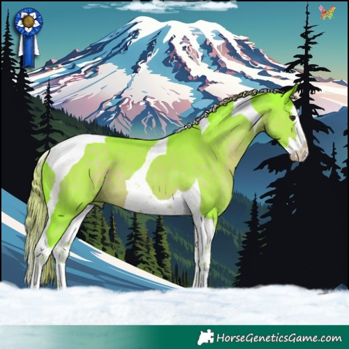 Horse Color:Watercolor Liver Chestnut Splash Tobiano 