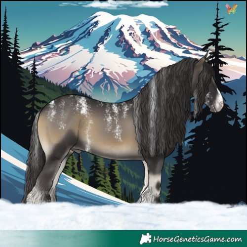 Horse Color:Powder White Smoky Blue Onyx 