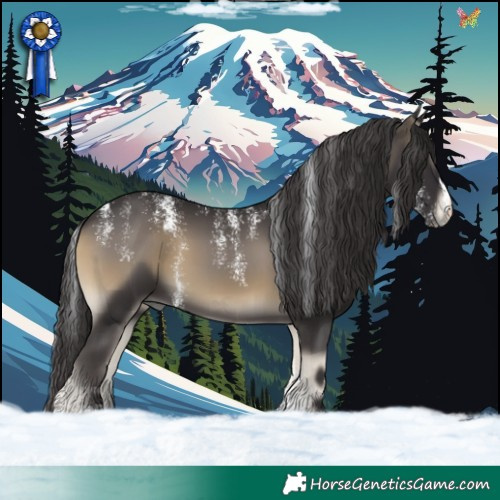 Horse Color:Powder White Smoky Blue Onyx 