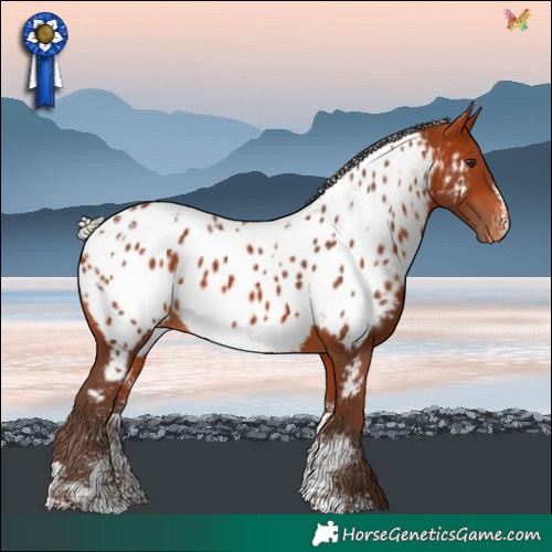 Horse Color:Powder White Silver Bay Near Leopard 
