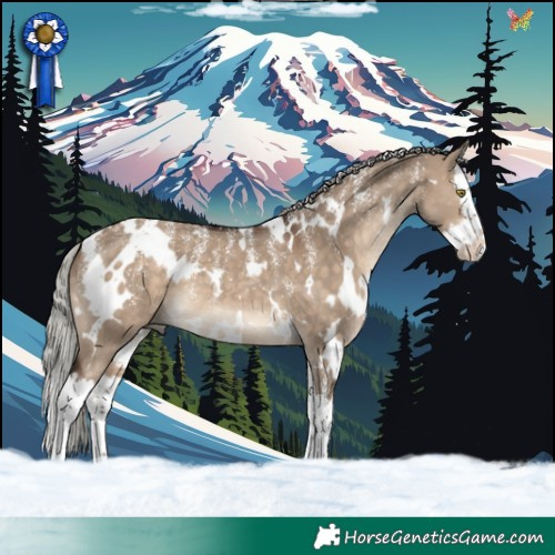 Horse Color:Powder White White Spotted Silver Brown Dun Splash 