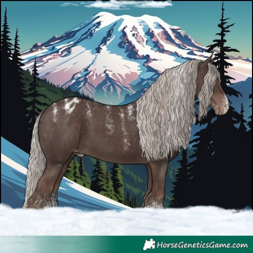 Horse Color:Powder White Silver Black Appaloosa 