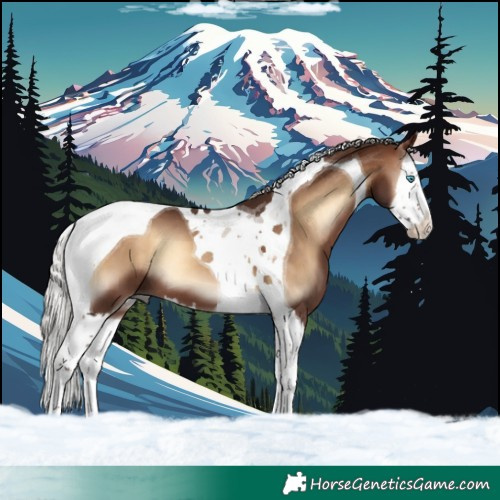 Horse Color:Silver Bay Onyx Splash Tobiano 