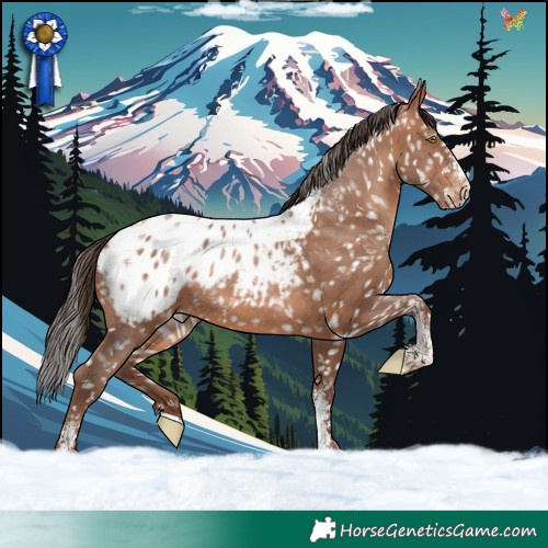 Horse Color:Powder White Sable Champagne Blanket 