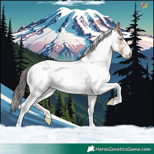 Horse Color:White Spotted Sable Champagne Dun 