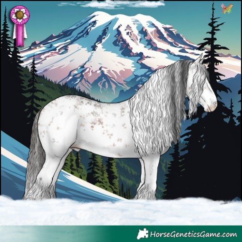 Horse Color:White Spotted Bay Sabino 