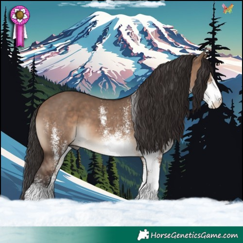 Horse Color:White Spotted Brown Dun 