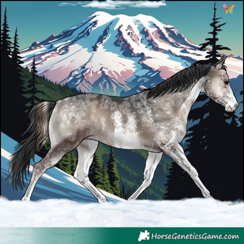 Horse Color:White Spotted Blue Onyx Ice 