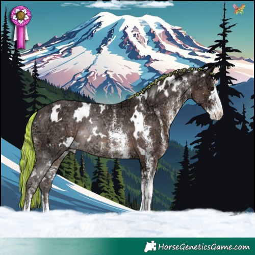 Horse Color:Painted White Spotted Silver Black Ice Varnish 