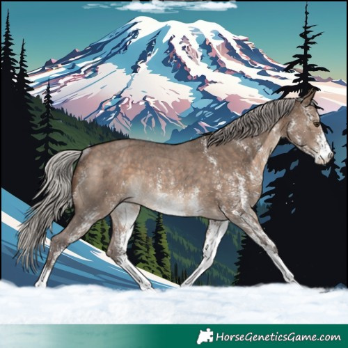 Horse Color:White Spotted Silver Brown Dun Rabicano 