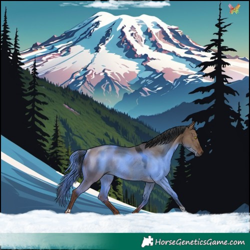 Horse Color:Liver Red Dun Rabicano 